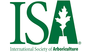 ISA